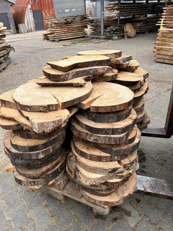 ca 80X Boomstamschijf, complete partij 390,- REF 788, 25 tot 50 mm, Overige typen, Nieuw, Ophalen of Verzenden