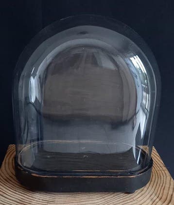Stolp - Glas, Hout - 1850-1900 - Antieke stolp