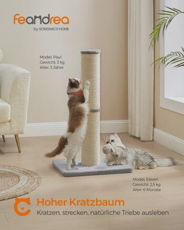 Feandrea Krabpaal 85 cm Hoog met Extra Dikke Stam (13 cm) vo, Verzenden, Nieuw