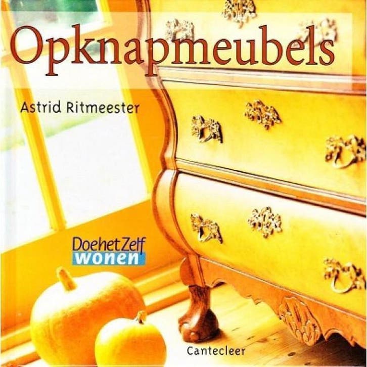 OPKNAPMEUBELS 9789021328065 A. Ritmeester, Boeken, Hobby en Vrije tijd, Zo goed als nieuw, Verzenden
