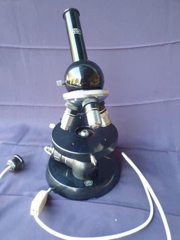 Monocular compound microscope - 2055831 - 1900-2000,