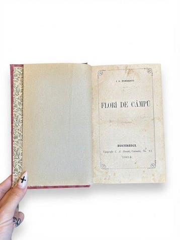 I. C. Fundescu - Flori de câmp - 1864-1864