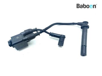 Bobine Ducati Monster 1200 S 2019 Rear, Verzenden, Gebruikt