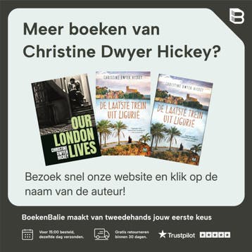 Het kille oog van de hemel - Christine Dwyer Hickey, Boeken, Verzenden, Zo goed als nieuw, Christine Dwyer Hickey