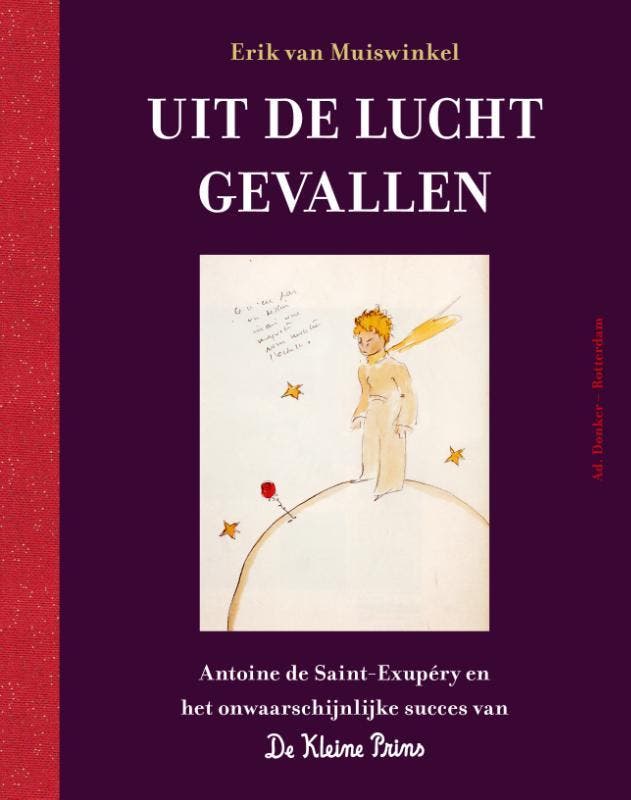 Uit De Lucht Gevallen | Erik Muiswinkel | Nieuw, Boeken, Overige Boeken, Nieuw, Ophalen of Verzenden