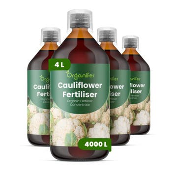 Bloemkool Vloeibare meststof - 4x1 liter, Verzenden, Mest