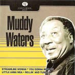 cd - Muddy Waters - Muddy Waters, Verzenden, Zo goed als nieuw