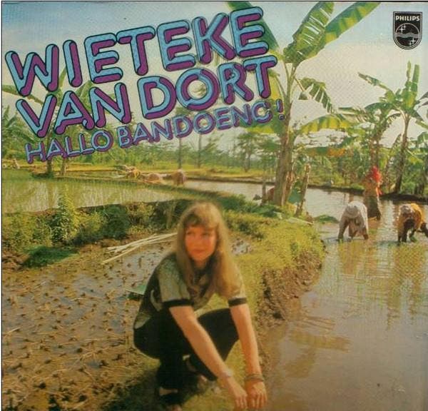 Wieteke van Dort - Hallo Bandoeng!, Cd's en Dvd's, Vinyl | Pop, Gebruikt, Ophalen of Verzenden