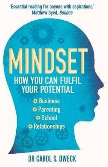 Mindset - Carol S. Dweck 9781780332000, Verzenden, Gelezen, Carol S. Dweck