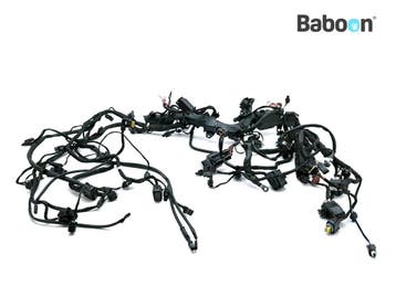 Kabelboom BMW R 1300 GS 2022-2025 (R1300GS KA1) (5A64BB1), Verzenden, Gebruikt