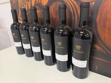 2018 Louis Martin Monte Rosso vineyard (Vulcano) - Napa, Nieuw