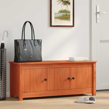 vidaXL Schoenenkast Wasbruin 110 x 38 x 45,5 cm Massief, Huis en Inrichting, Minder dan 50 cm, Verzenden, Nieuw, Minder dan 100 cm