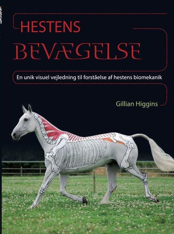 Hestens Bevægelse | Gillian Higgins | Nieuw, Ophalen of Verzenden, Nieuw, Gillian Higgins