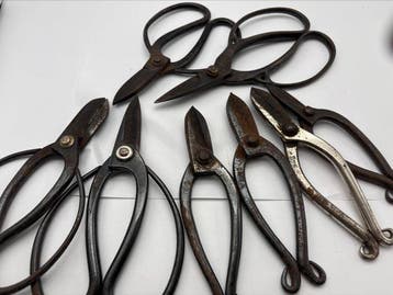 Bonsai Scissors – Mixed Lot –  Pieces - Werkgereedschap (8)