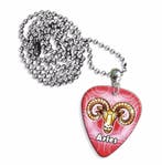 Ram plectrum ketting, sleutelhanger of oorbellen, Ophalen of Verzenden, Nieuw