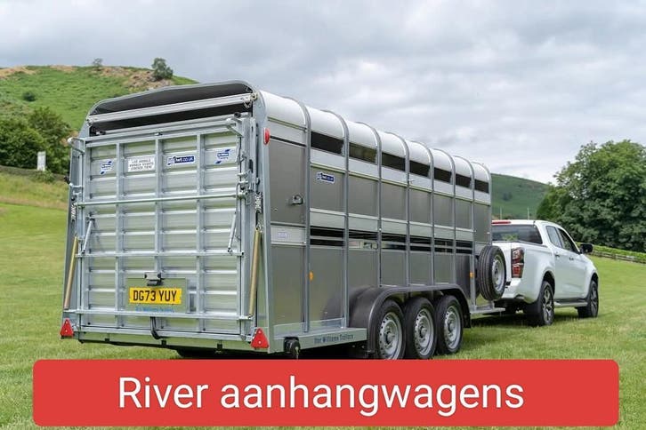 Ifor Williams veetrailers midden Nederland UIT VOORRAAD, Dieren en Toebehoren, Runderen