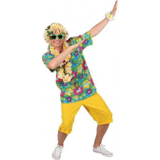 Blauwe hawaii overhemden - Hawaii kleding, Kleding | Heren, Carnavalskleding en Feestkleding, Ophalen of Verzenden