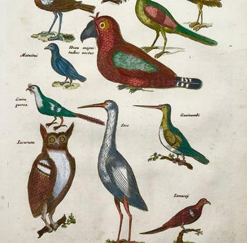 Matthäus Merian (1593-1650) - hand coloured engraving: