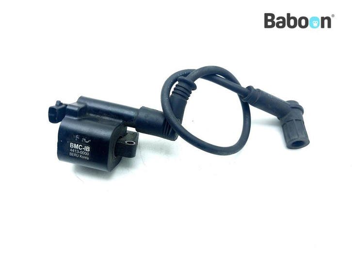Bobine Ducati Monster 1100 EVO 2011-2013 Rear, Motoren, Onderdelen | Ducati, Gebruikt, Verzenden