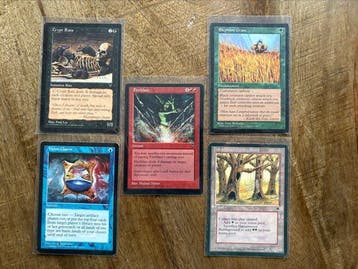 Wizards of The Coast - 65 Card - Magic: The Gathering, Nieuw