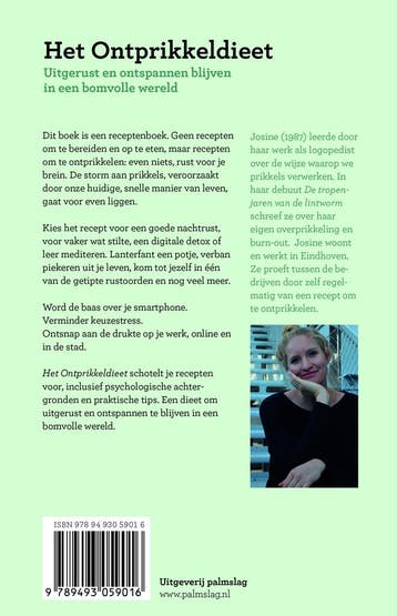 Het ontprikkeldieet - Josine van Boxmeer 9789493059016, Verzenden, Zo goed als nieuw, Josine van Boxmeer