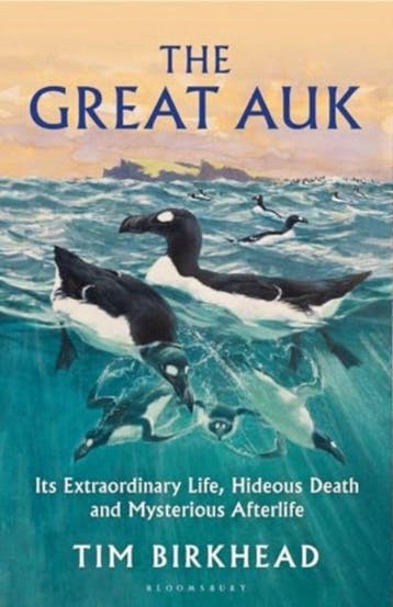 9781399415743 The Great Auk Tim Birkhead, Verzenden, Nieuw, Tim Birkhead