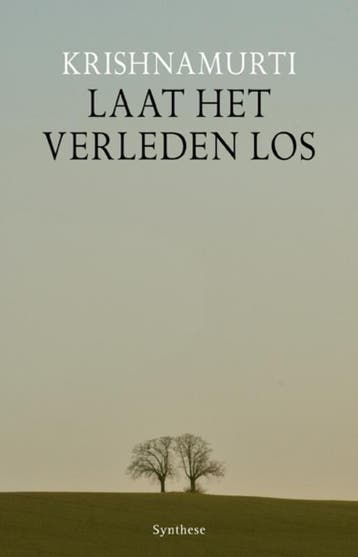Laat het verleden los - Jiddu Krishnamurti 9789062710843, Boeken, Verzenden, Gelezen, Jiddu Krishnamurti
