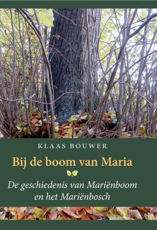 Bij de boom van Maria 9789074241427 Klaas Bouwer, Boeken, Geschiedenis | Stad en Regio, Zo goed als nieuw, Verzenden
