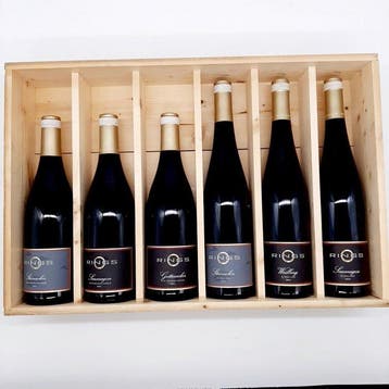 Rings: Steinacker, Saumagen, Gottesacker 2011 & Steinacker,, Nieuw
