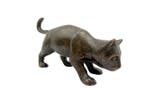 Beeldje - Curious Kitten - Brons