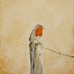 Matthieu van Riel - Robin