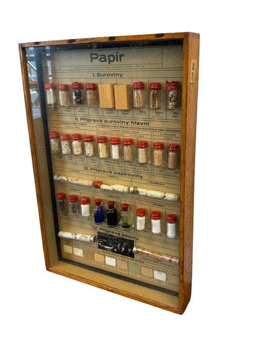 Vitrinekast - Hout, Glas - Educatieve vitrinekast, Antiek en Kunst, Curiosa en Brocante