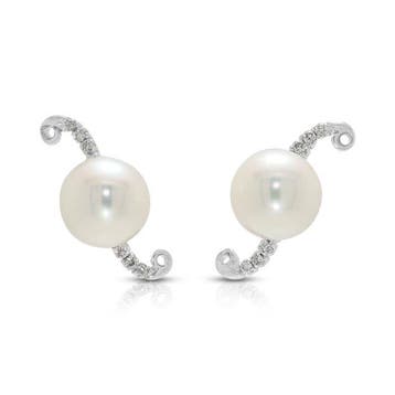 Oorbellen - 18 karaat Witgoud - 0.09ct. tw. Parel - Diamant, Nieuw