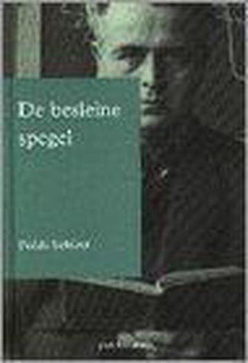 De besleine spegel - Tineke Steenmeijer-Wielenga, Verzenden, Zo goed als nieuw, Tineke Steenmeijer-Wielenga
