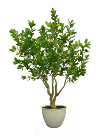 4x Artificial lemon tree in deco pot, Nieuw
