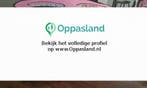 Lotte zoekt een oppas in Nijmegen voor 2 kinderen.