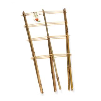 Klimrek planten | Gardalux | 75 x 35 cm | 3 stuks (Bamboe), Tuin en Terras, Verzenden