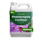 Phalaenopsis vloeibare meststof - 10 liter, Verzenden, Mest