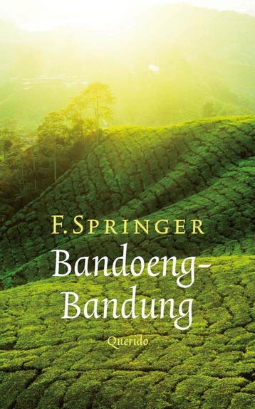 Bandoeng-Bandung - F. Springer 9789021439273, Verzenden, Gelezen, F. Springer