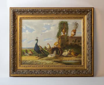 Pluimvee met Pauw in de trant van Albertus Verhoesen, Antiek en Kunst, Ophalen of Verzenden