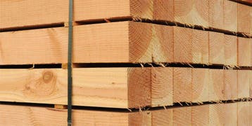 Douglas/Lariks 150x150x3000mm paal onbehandeld, Ophalen of Verzenden, Nieuw