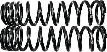 Progressive Rear Springs 65/130 (PR) - Black, Ophalen of Verzenden, Nieuw
