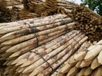 Afrasteringspalen Kastanje hout Lengte 250 cm Dikte 10/12 cm, Ophalen of Verzenden, Nieuw