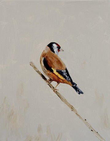 Matthieu van Riel - Puttertje