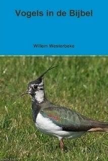 Westerbeke, Willem-Vogels in de Bijbel (nieuw), Boeken, Godsdienst en Theologie, Nieuw, Verzenden