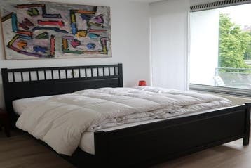 Appartement Sint Pieterskade in Maastricht, Via bemiddelaar, Limburg, Maastricht, Appartement