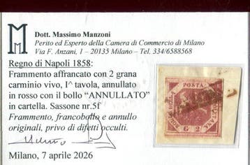 Italiaanse oude staten - Napels 1858 - Het zeldzame, Gestempeld