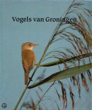Vogels van Groningen 9789062430314 Boekema, Verzenden, Gelezen, Boekema