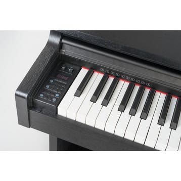 Entrada Elektrische Pianos, Nieuw