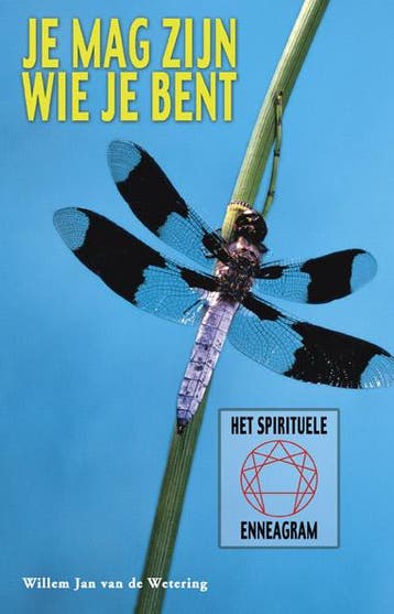 Je mag zijn wie je bent - W.J. van de Wetering 9789055991594, Verzenden, Gelezen, W.J. van de Wetering